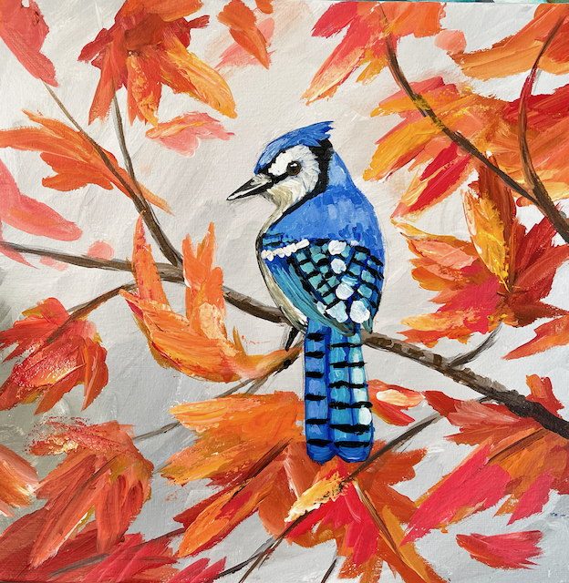 Fall Blue Jay